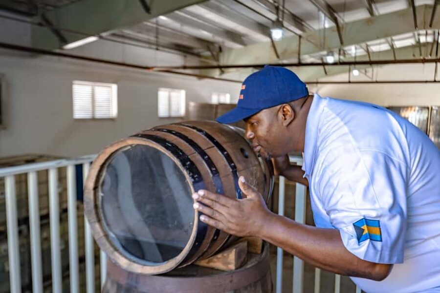 Nassau: Historical Sightseeing Guided Half-Day Tour - A practical way to see Nassau in 210 minutes