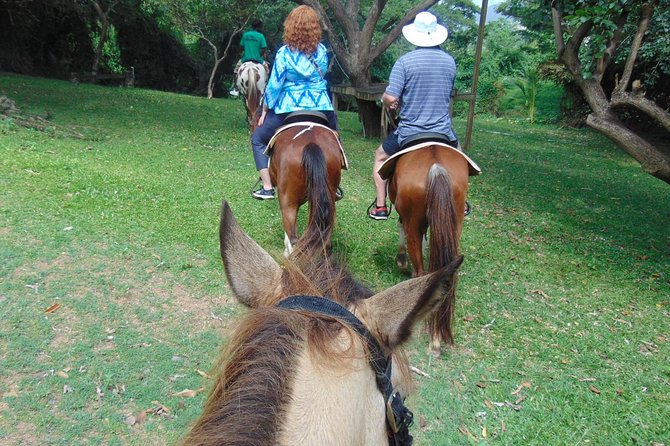 Nature & Historical Horseback Riding Tours St. Lucia - Historic ruins and the old sugar works