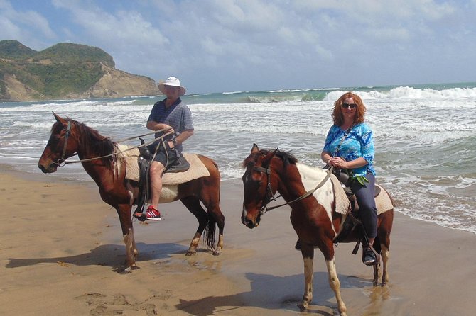 Nature & Historical Horseback Riding Tours St. Lucia - Rainforest, savanna, and rocky trails
