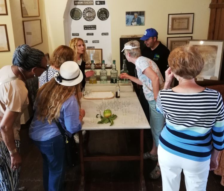 Naxos Island: Full–Day Historical Bus Tour - The northern road, old emery mines, and Apollonas