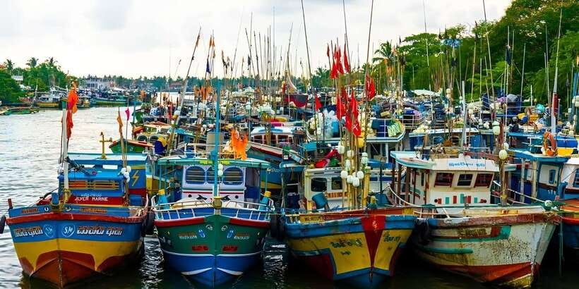 Negombo Heritage Walking Tour - Through the fruit and vegetable market