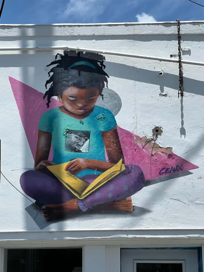New Orleans: 9th Ward Hurricane Katrina History Tour - Why the one-hour format can work