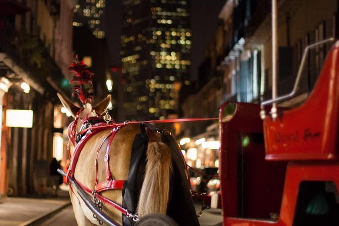 New Orleans Small-Group Haunted History Carriage Tour - The mule and the pace of the ride