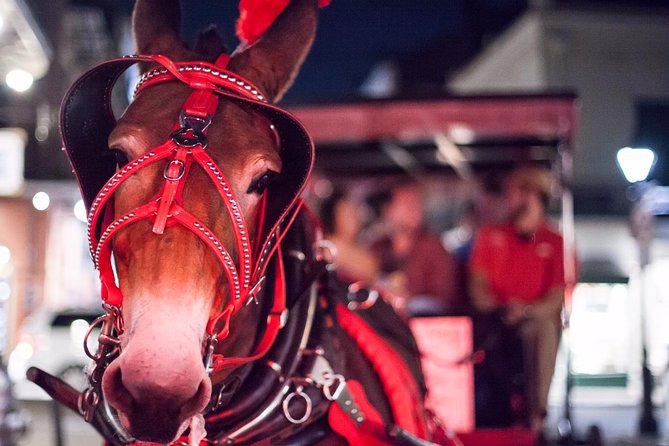 New Orleans Small-Group Haunted History Carriage Tour - Jackson Square and the city’s troubled beginnings