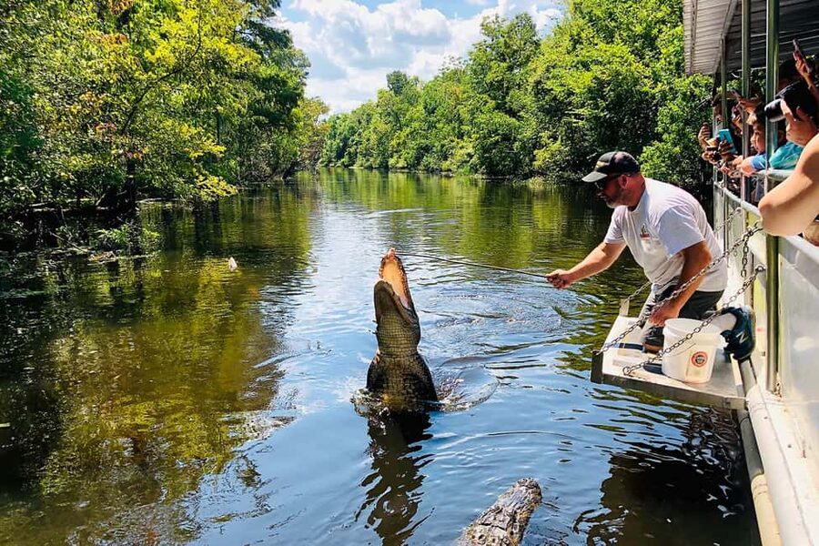 New Orleans: Swamp Boat Ride and Historic Plantation Tour - Key points to know before booking