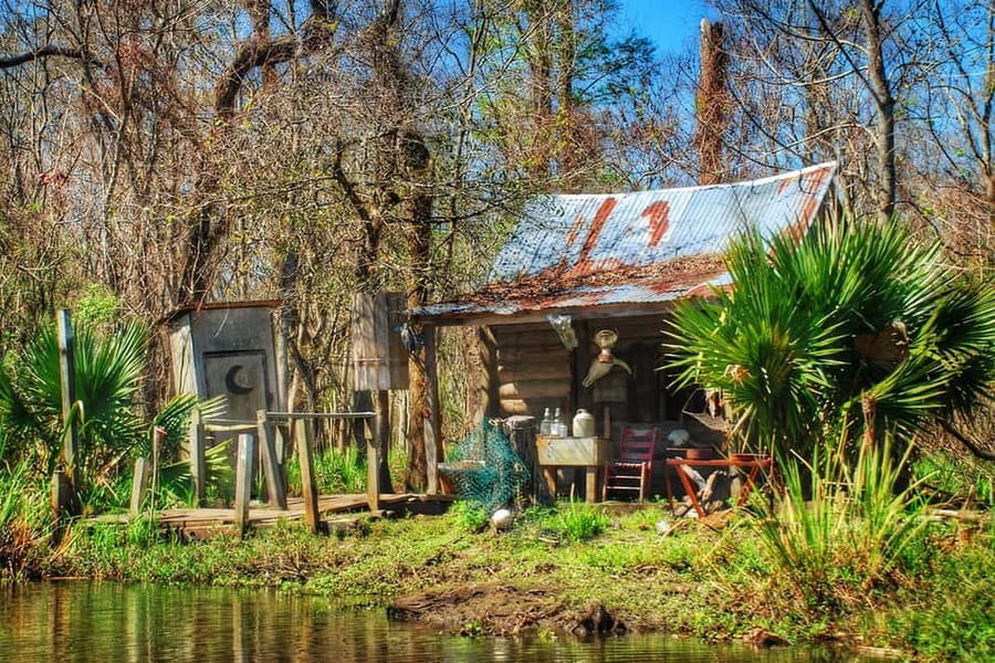 New Orleans: Swamp Boat Ride and Historic Plantation Tour - Who should book this experience?