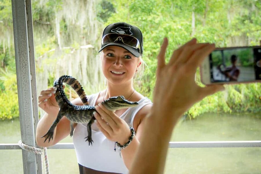 New Orleans: Swamp Boat Ride and Historic Plantation Tour - Oak Alley: beauty with a difficult story
