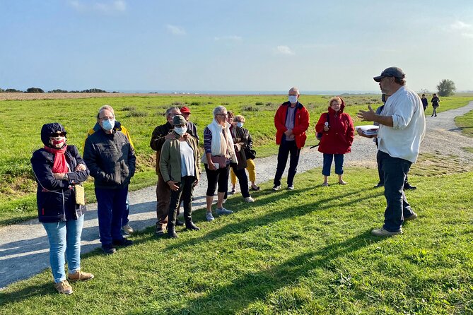 Normandy American D-Day Beaches Full Day Tour from Bayeux - What the small minivan changes
