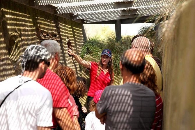 Normandy Battlefields Half Day Tour - Canadian World War II Sites - Why Canada’s D-Day story deserves its own tour