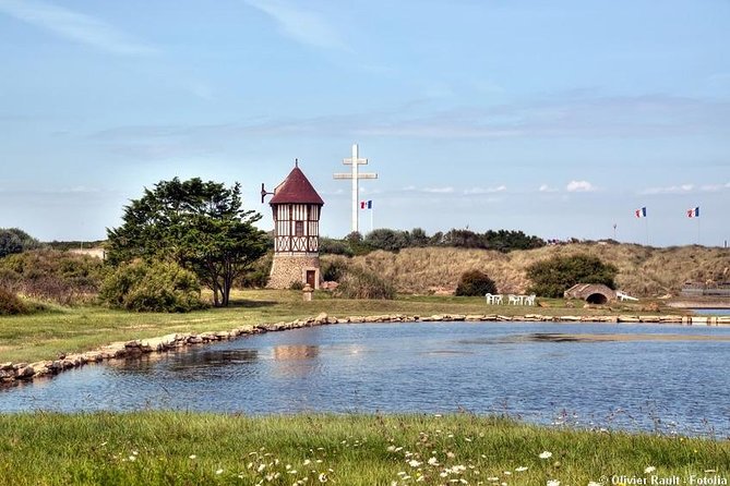 Normandy Battlefields Half Day Tour - Canadian World War II Sites - Walking among Juno Beach bunkers and obstacles