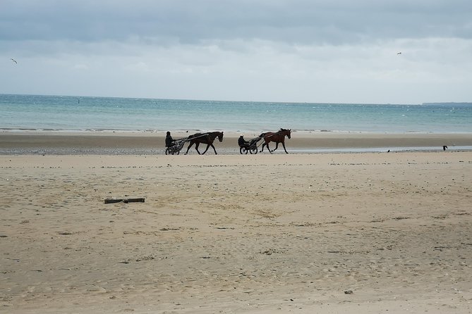 Normandy Beaches Half-Day Afternoon Trip from Bayeux (A2) - The guides shape the experience