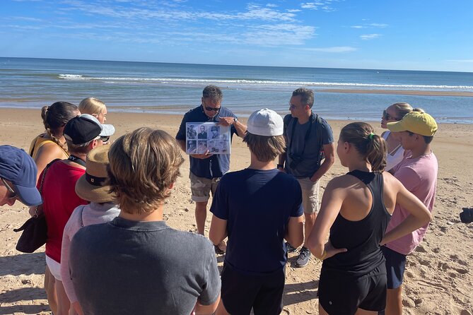 Normandy: Private tour D-Day landing beaches American sector - What the private vehicle changes
