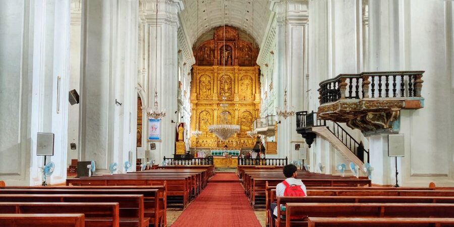 Old Goa: Walking Tour of Heritage Churches - The guide can make or break the experience