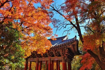 Old Korea Thousand History Tour of Gyeongju from Busan