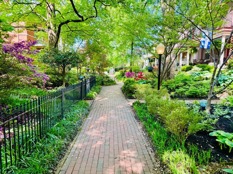 Old Louisville: History and Architecture Walking Tour - Mansions built for Louisville’s elite