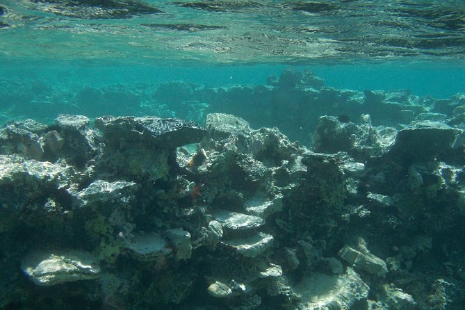 Olous – Guided Snorkelling Excursion to Discover Olous Sunken Ancient City - Patient guiding for first-time snorkelers