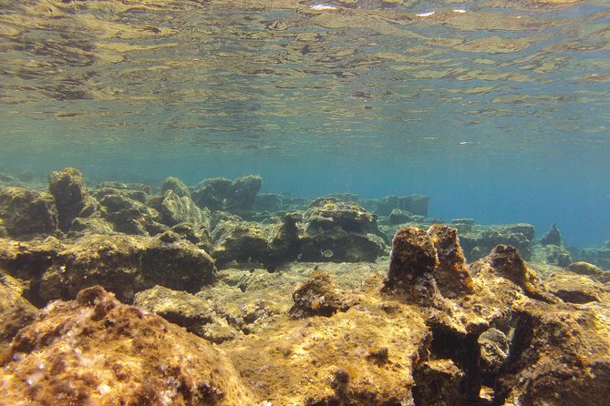 Olous – Guided Snorkelling Excursion to Discover Olous Sunken Ancient City - The value of $66.08 per person