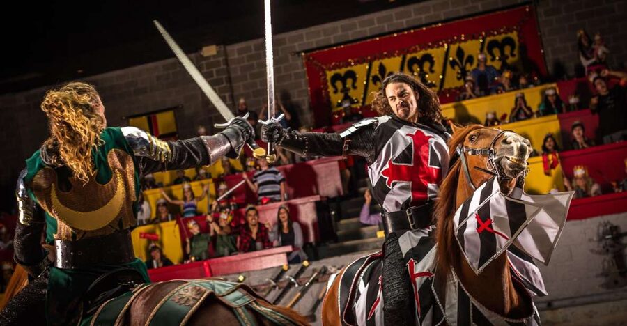 Orlando: Medieval Times Dinner and Show Ticket - Key points to know before you book