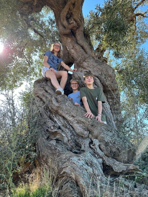 Ostuni: E-bike Tour, Ancient Olive Trees & Oil Tasting - Key points to know before you book