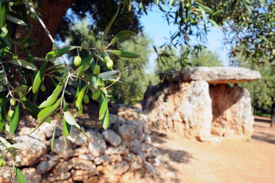 Ostuni: E-bike Tour, Ancient Olive Trees & Oil Tasting - The Montalbano Dolmen and a short walk on the Via Francigena