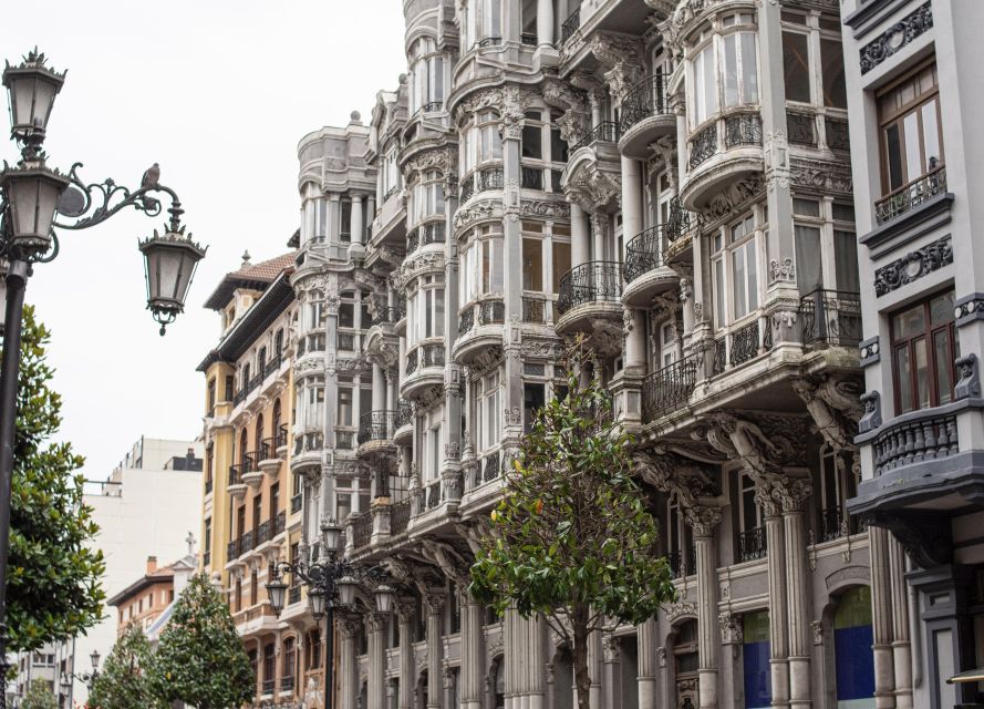 Oviedo : Walking tour of the Historic Center - Starting with Ana Ozores in Plaza de Alfonso II