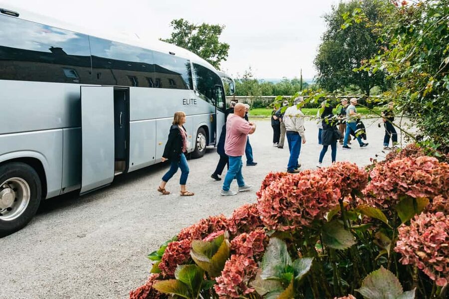 Paris: Normandy D-Day Sites Guided Day Trip with Lunch - A Norman lunch at Grandcamp-Maisy