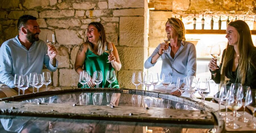 Pastrengo: Lake Garda Wine & Food Tasting in Historic Fort - Six organic wines from the Lake Garda area