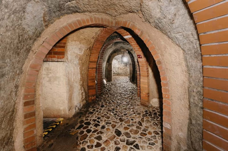 Pilsen: Historic Underground Tour with a Glass of Beer - Key points to know before going