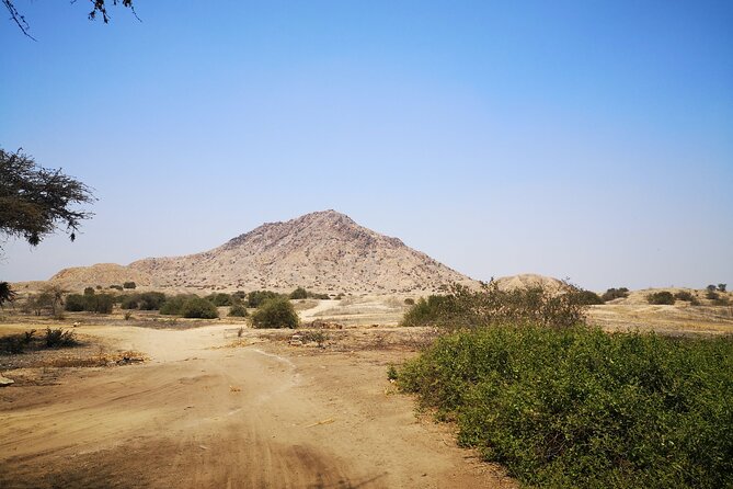 Piramids of Tucume Tour, Sican Museum and Lambayeque city tour - What the $87.02 price covers