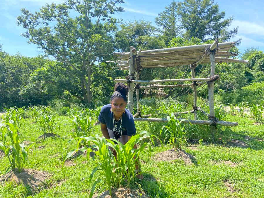 Plymouth: Plimoth Patuxet Museums - 3 tickets available - Key points to know before you go