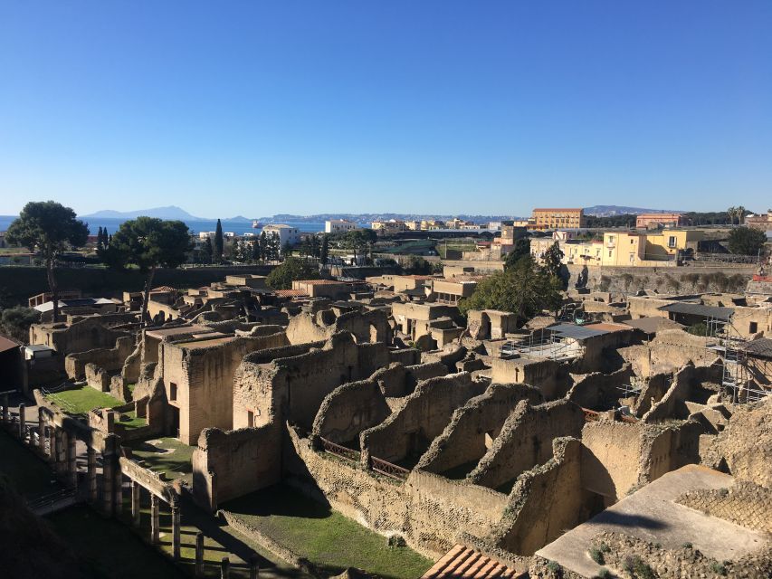 Pompeii and Herculaneum: Guided Tour with an Archaeologist - Reaching Herculaneum by train or taxi