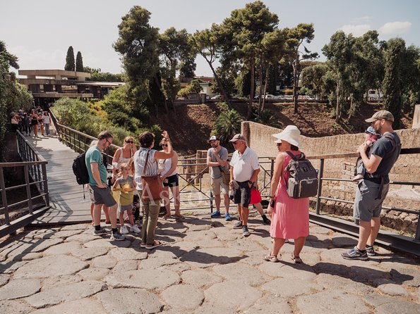Pompeii and Herculaneum led by an Archaeologist with private transport - Who Should Book This Experience?