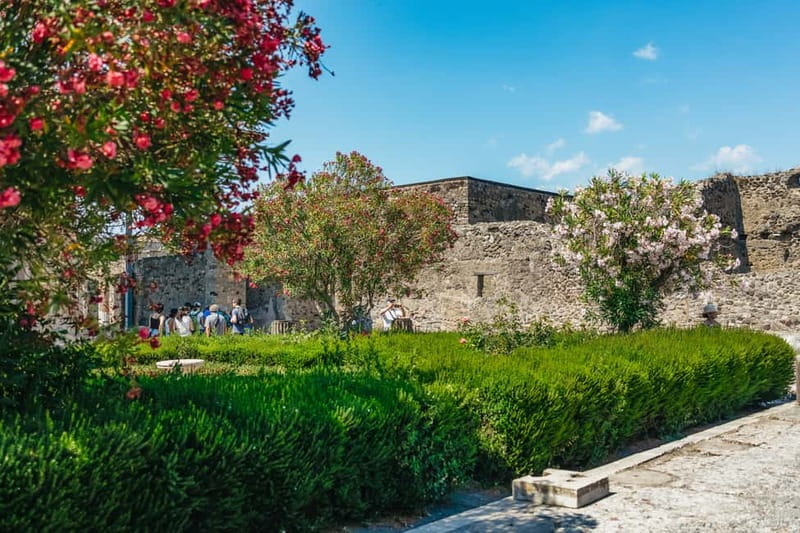 Pompeii: Archaeological Park Tour with Ticket on request - The first streets inside the archaeological park