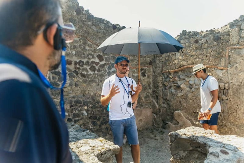 Pompeii: Archaeological Park Tour with Ticket on request - Homes, frescoes, and the private side of Pompeii