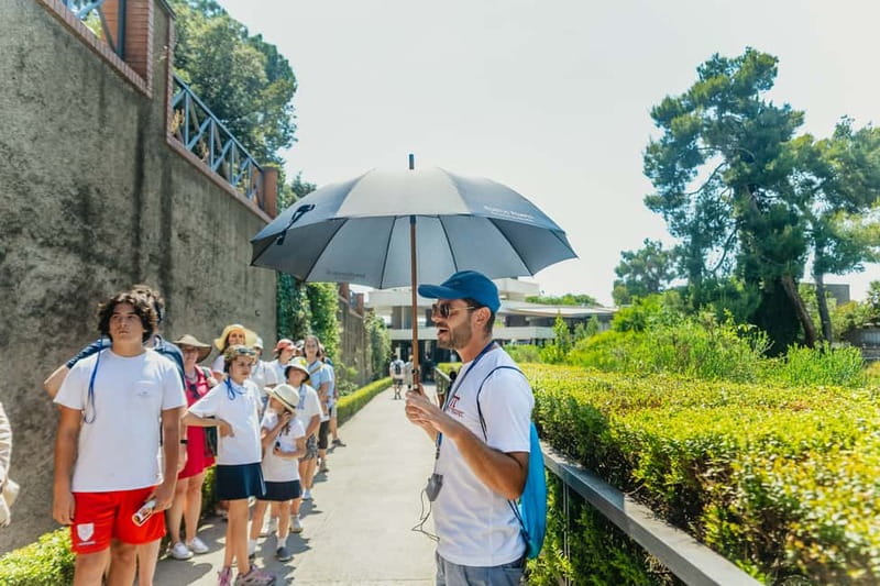 Pompeii: Archaeological Park Tour with Ticket on request - What two hours really gives you