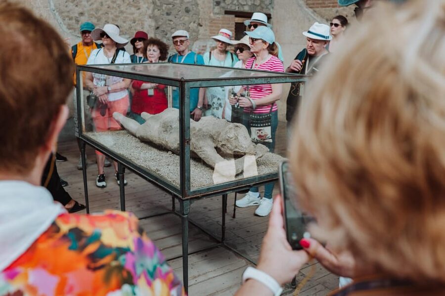 Pompeii: Entry Ticket and Guided Tour with an Archaeologist - The House of Menander and private life