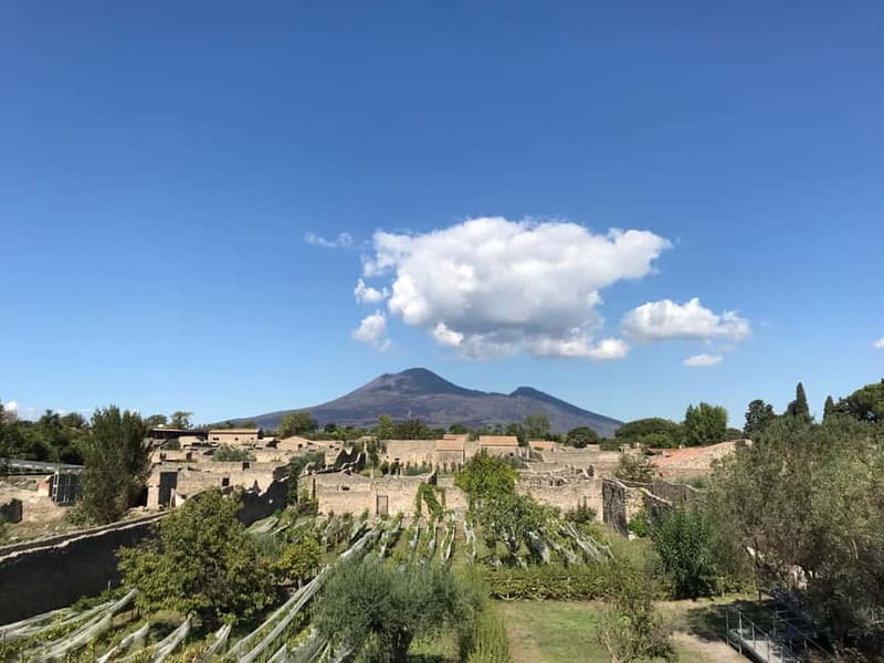 Pompeii: Exclusive Tour with Archaeologist and Entry Tickets - Meeting at Porta Marina and getting inside