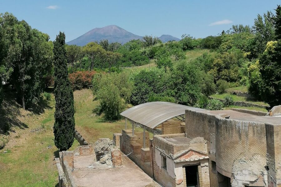 Pompeii: Guided Tour with Archaeologist with max. 12 People - Price, group size, and overall value