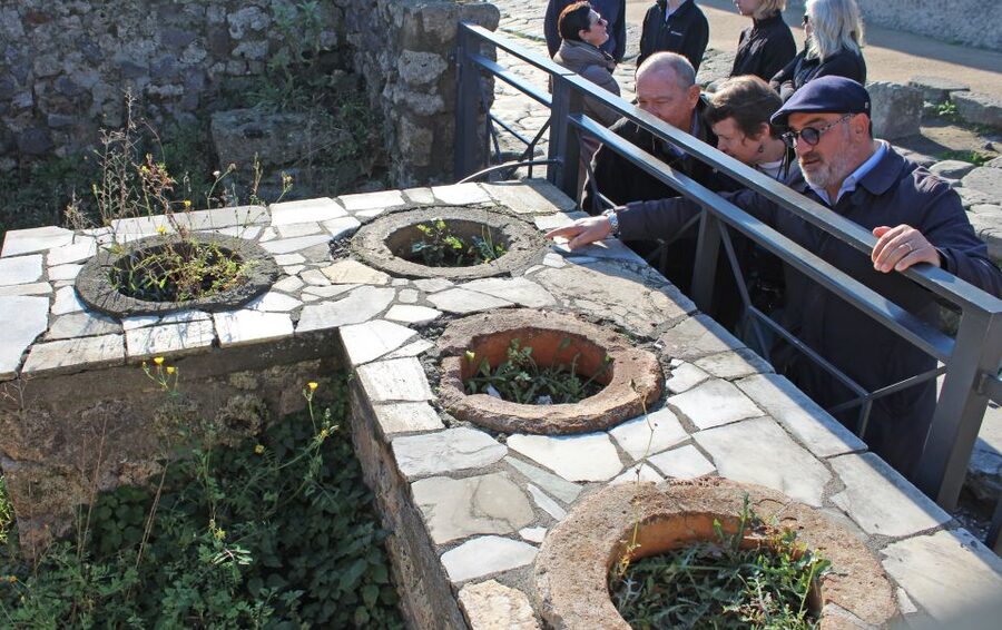 Pompeii: Skip-the-Line Tickets and Tour with Archaeologist - Is $105 a fair price?