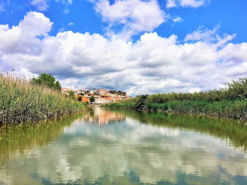 Portimão: Silves & Arade River History Tour on a Solar Boat - The return ride, river mouth, and glass of wine