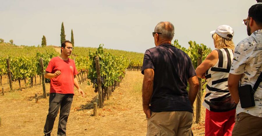 Porto: Douro Valley History & Wine Tour with Cruise & Lunch - Key points to know