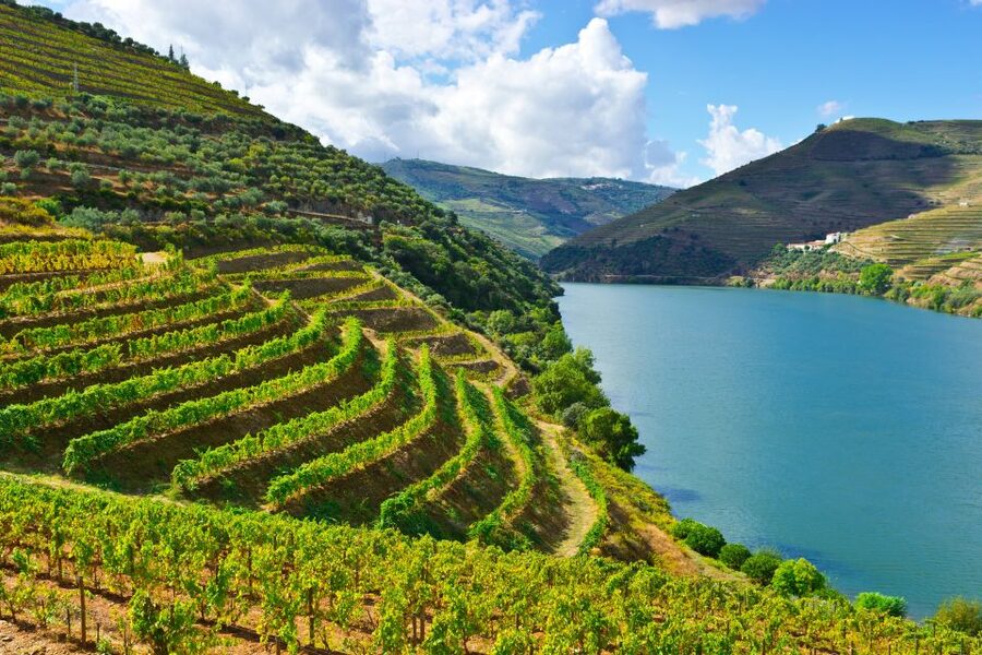 Porto: Douro Valley History & Wine Tour with Cruise & Lunch - Amarante gives the day a good opening