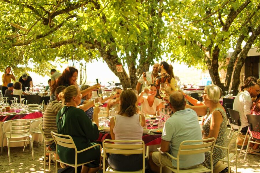 Porto: Douro Valley History & Wine Tour with Cruise & Lunch - Pinhão and the one-hour Rabelo boat cruise