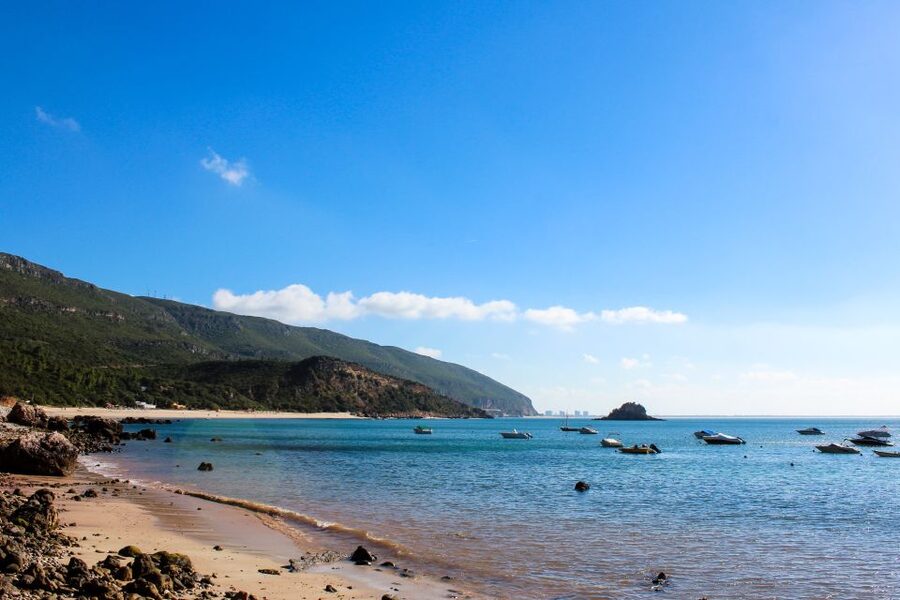 Portuguese Wine History & Amazing Landscape - Why this day works well beyond Lisbon