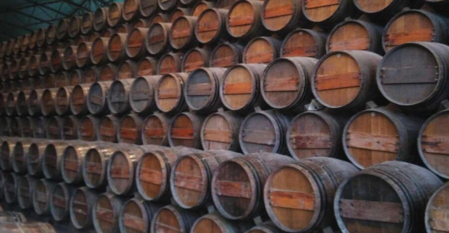 Portuguese Wine History & Amazing Landscape - Crossing the Vasco da Gama Bridge to Palmela