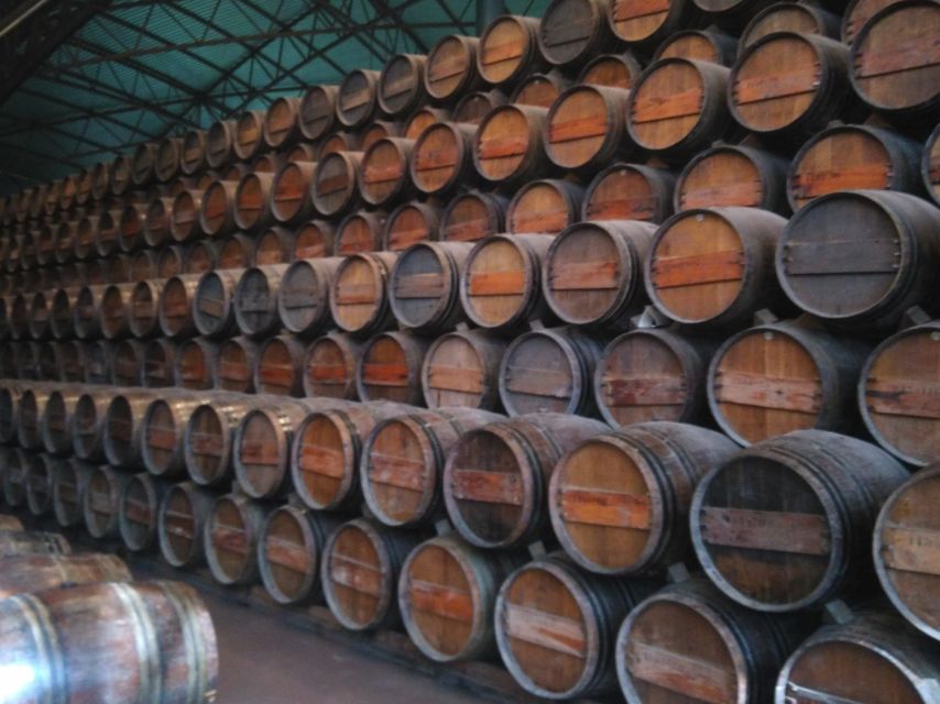 Portuguese Wine History & Amazing Landscape - Sesimbra adds a coastal town to the route