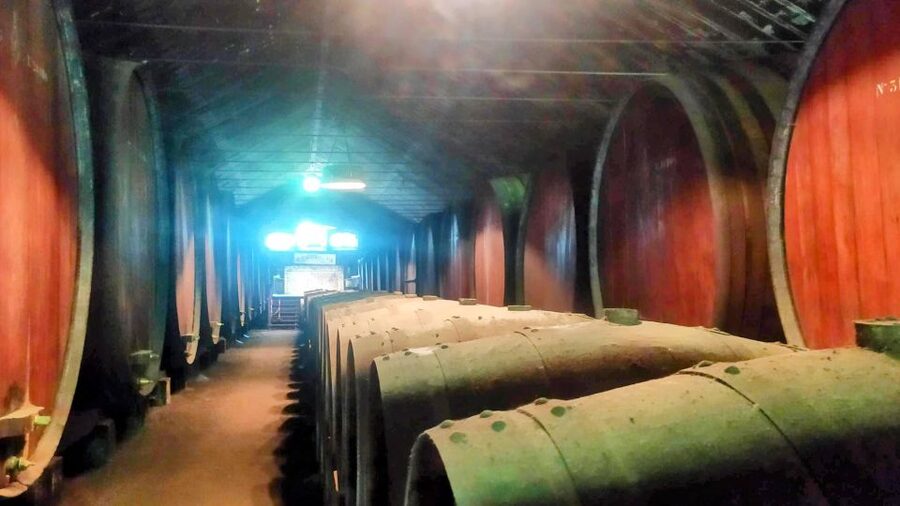 Portuguese Wine History & Amazing Landscape - Palmela village and the first taste of local wine