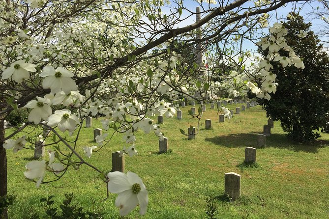 Private Atlanta History Tour From Civil War to Civil Rights - Grant Park and Atlanta’s older homes