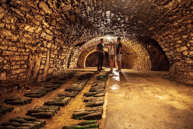 Private Bohemia Wine Tour from Prague with Gourmet Tastings - Why this private wine day works well from Prague
