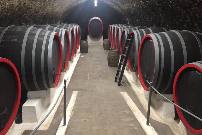 Private Bohemia Wine Tour from Prague with Gourmet Tastings - Velké Žernoseky pairs medieval cellars with lunch